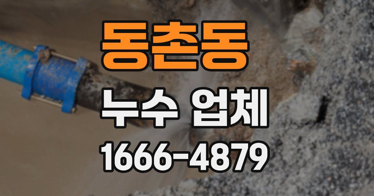 동촌동 누수 업체