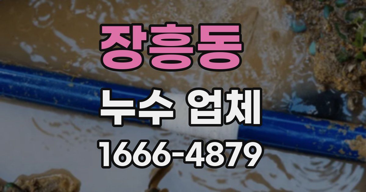 장흥동 누수 업체