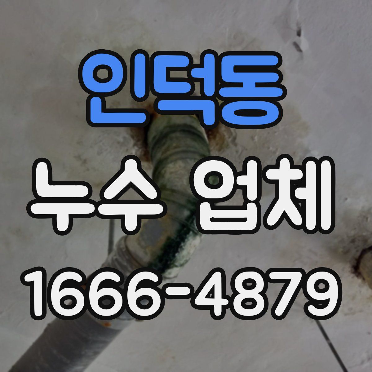 인덕동 누수 업체