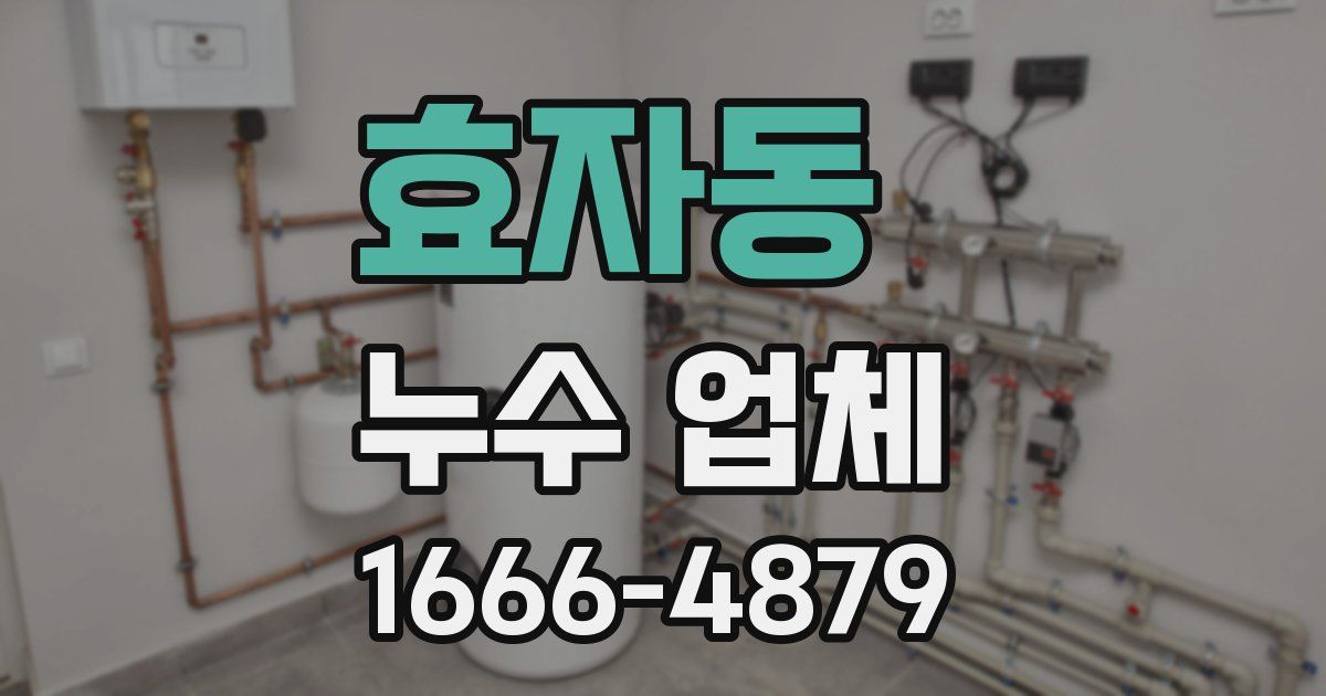 효자동 누수 업체
