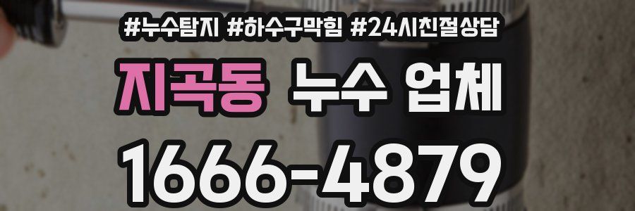 지곡동 누수 업체