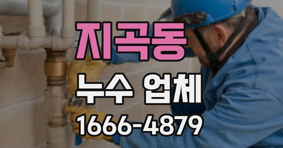 지곡동 누수 업체
