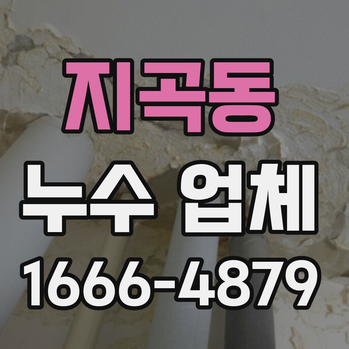 지곡동 누수 업체