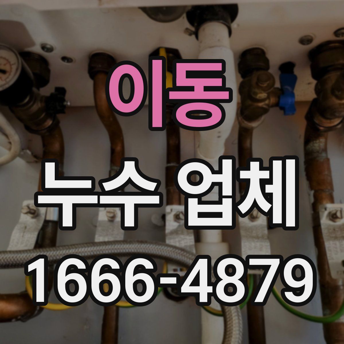 이동 누수 업체