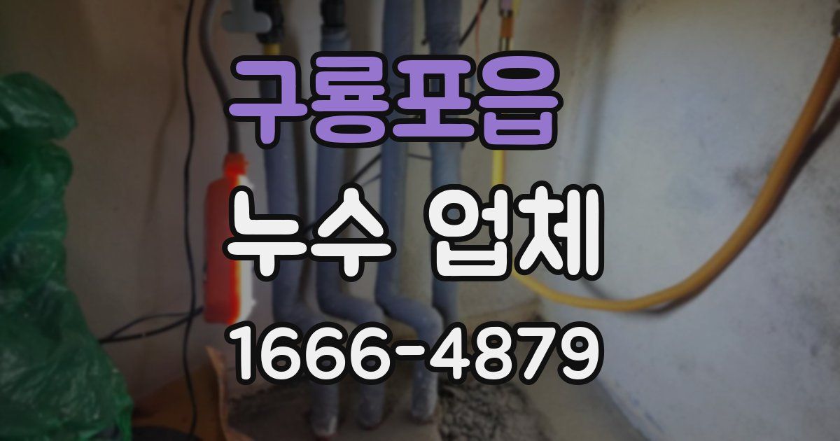 구룡포읍 누수 업체