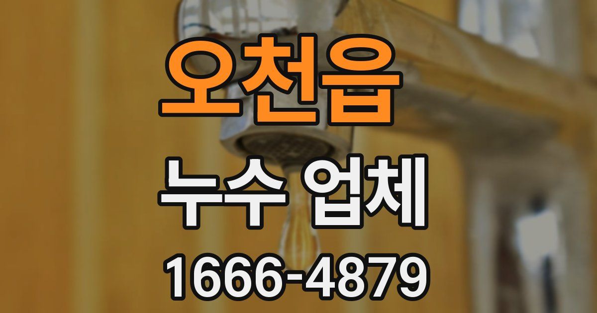 오천읍 누수 업체