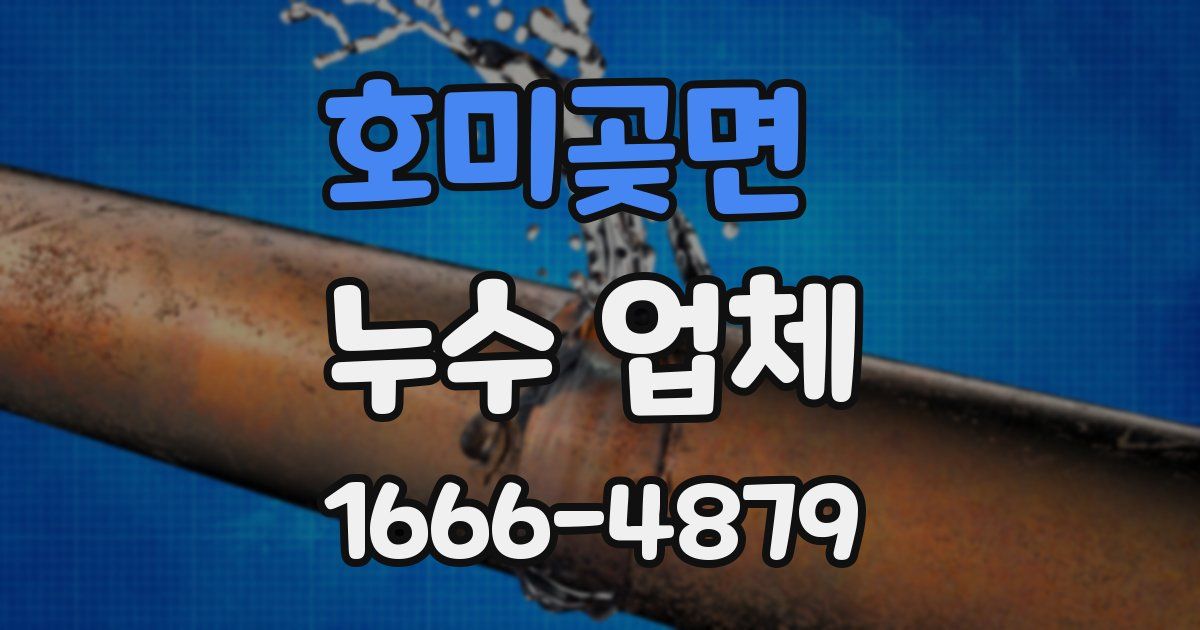 호미곶면 누수 업체