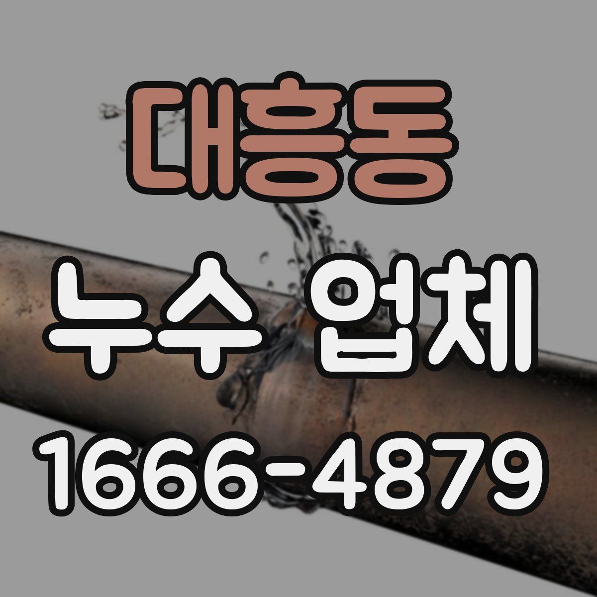 대흥동 누수 업체