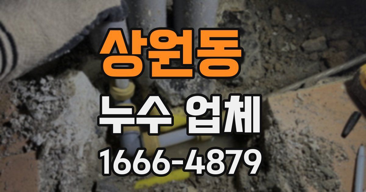 상원동 누수 업체