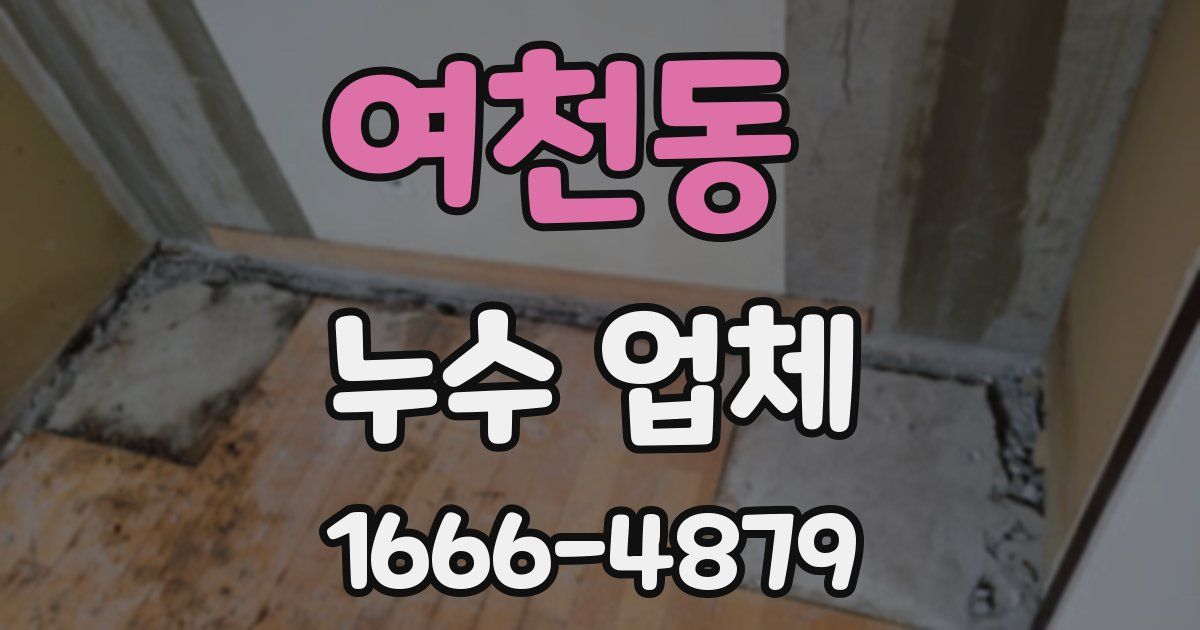 여천동 누수 업체