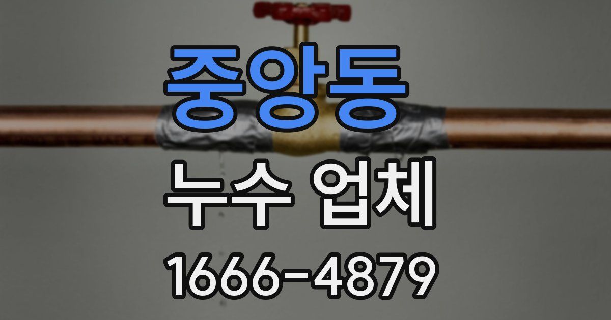 중앙동 누수 업체