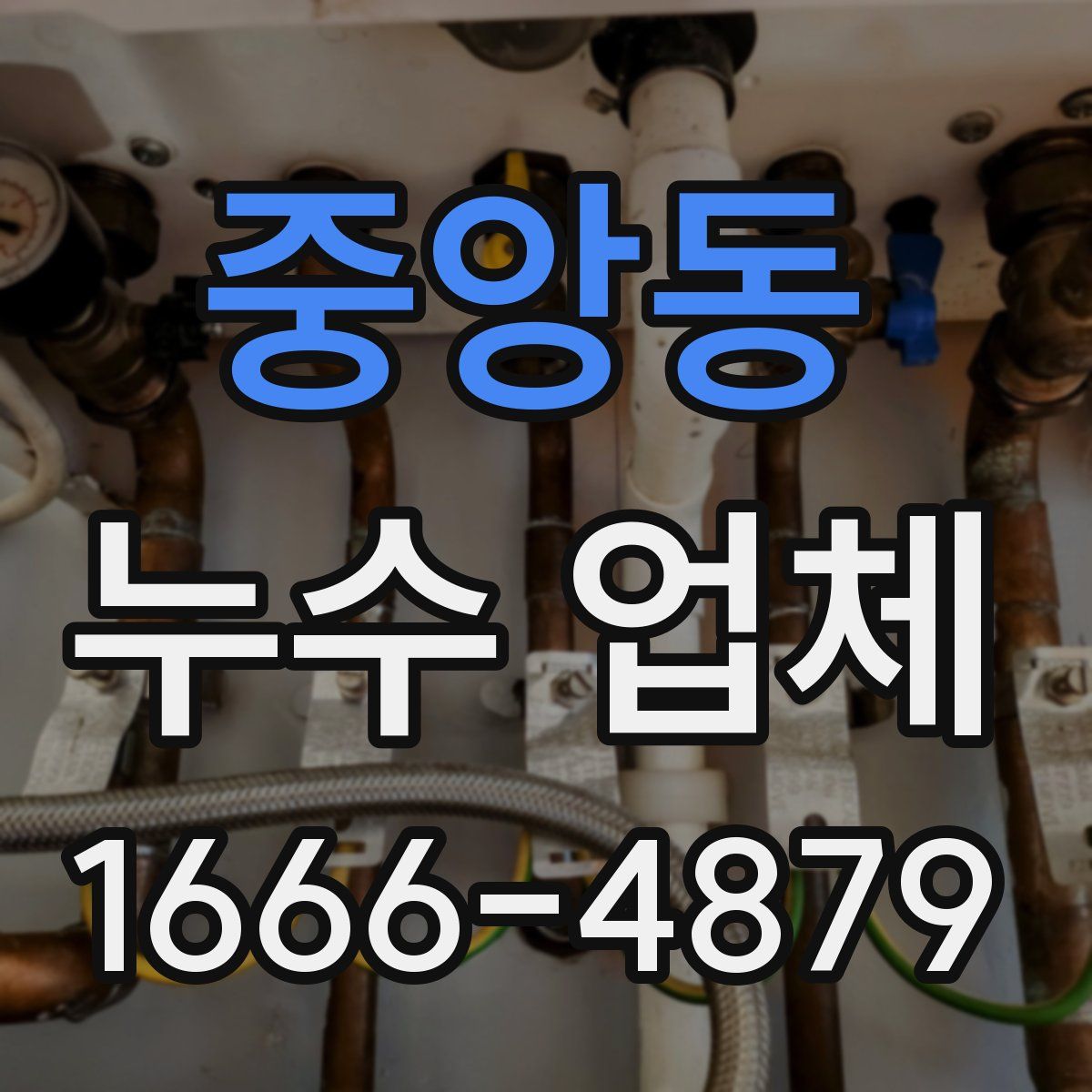 중앙동 누수 업체