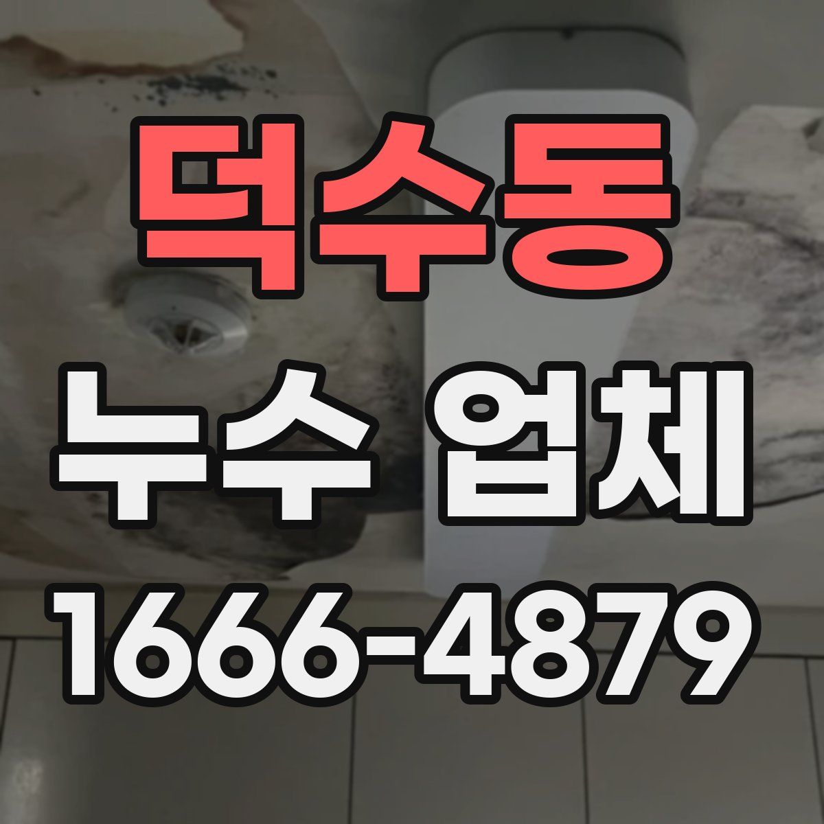덕수동 누수 업체