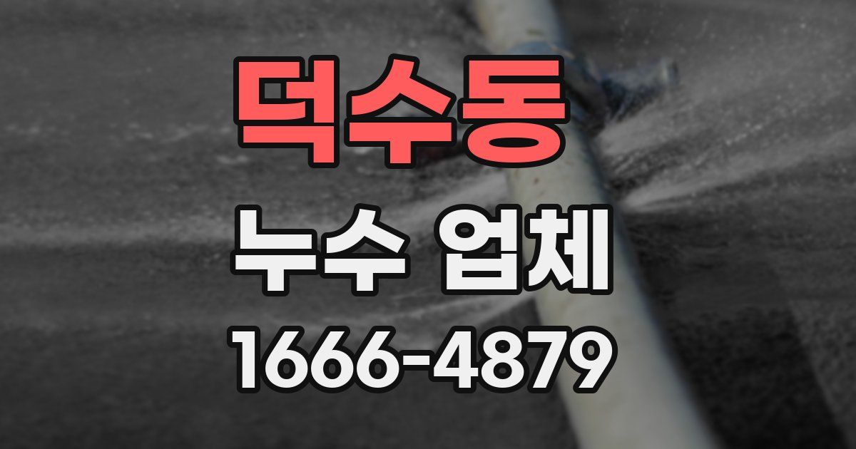 덕수동 누수 업체