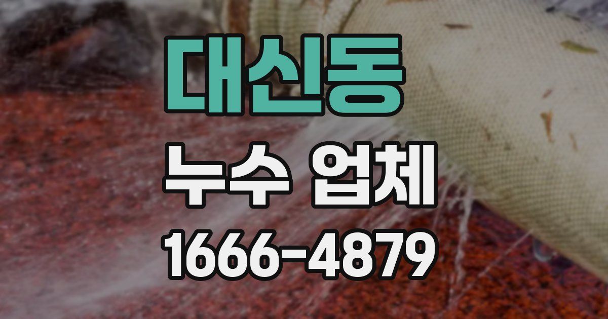 대신동 누수 업체