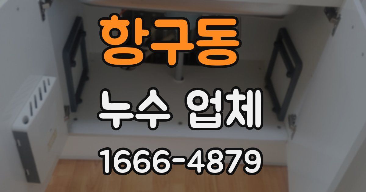 항구동 누수 업체