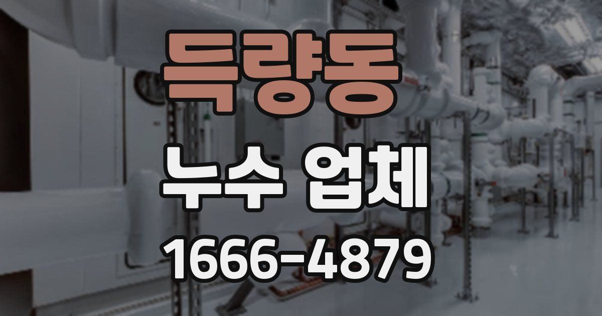 득량동 누수 업체