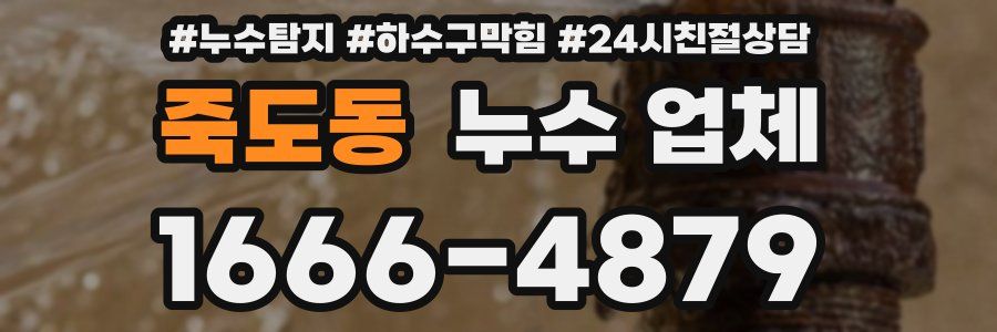 죽도동 누수 업체