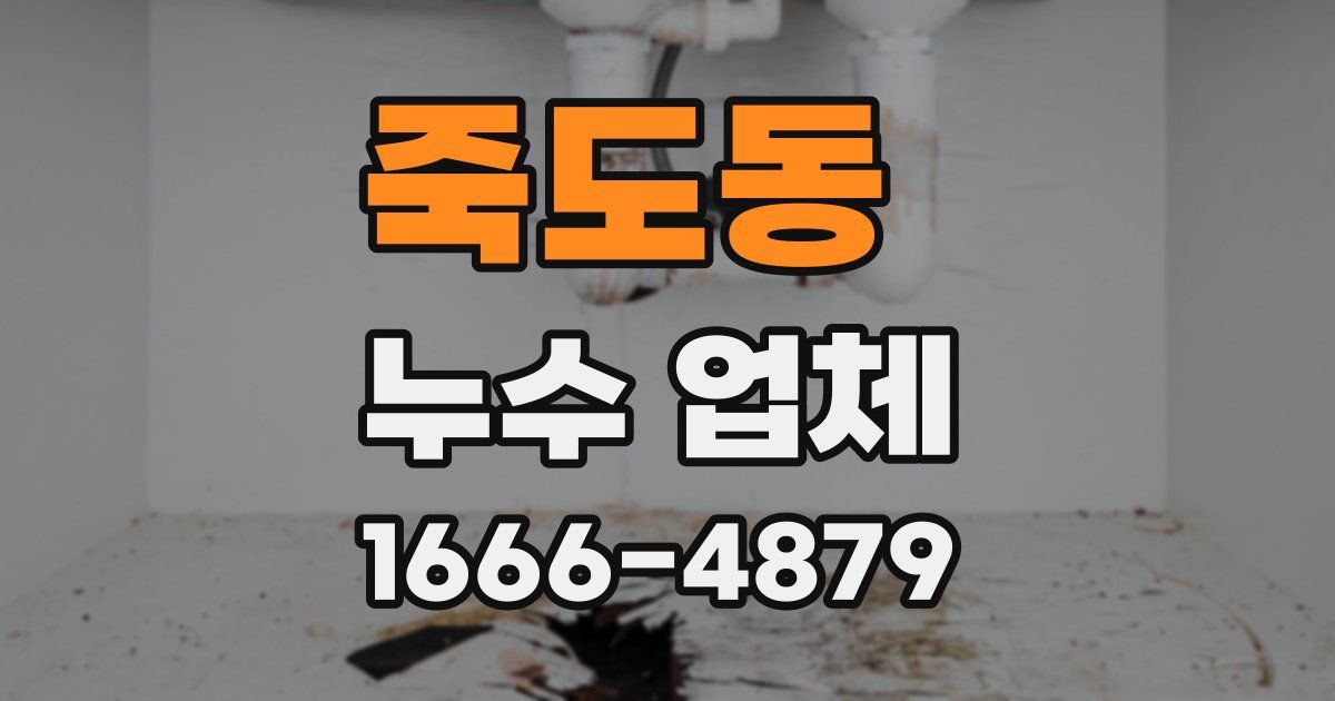 죽도동 누수 업체