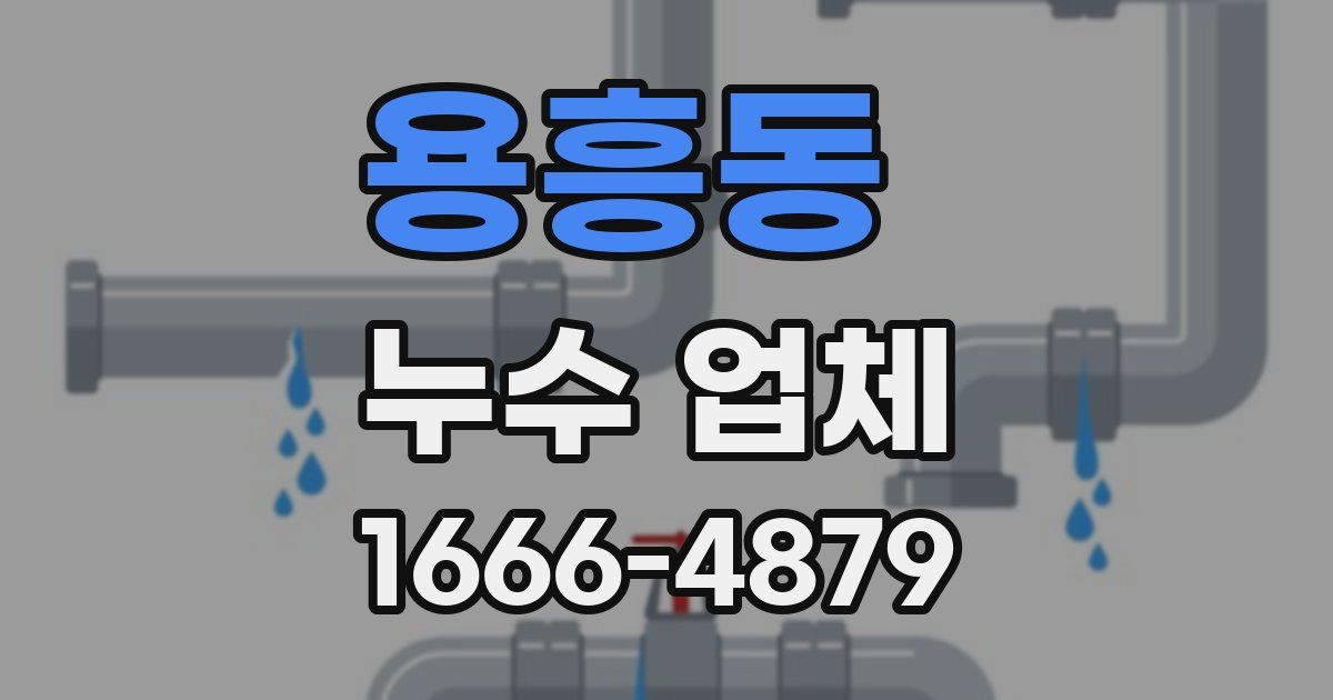 용흥동 누수 업체