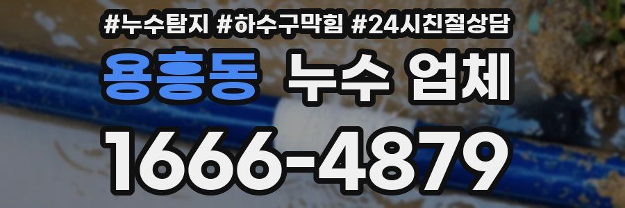 용흥동 누수 업체