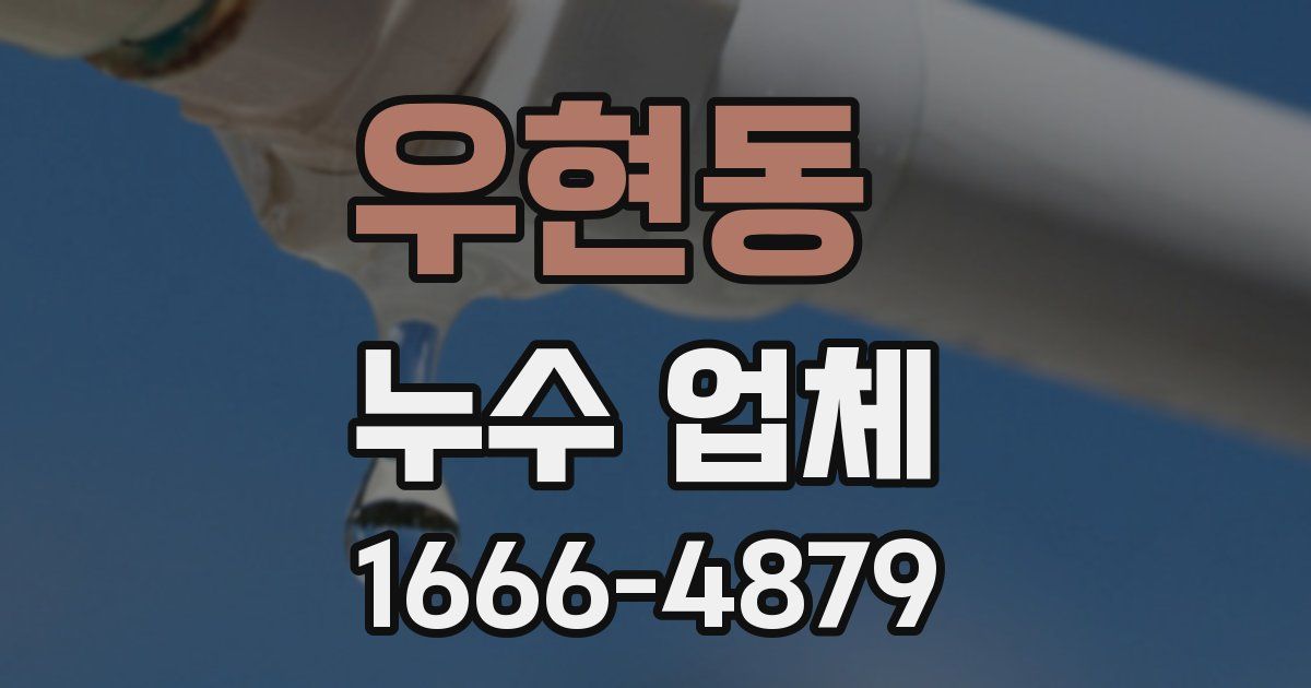 우현동 누수 업체
