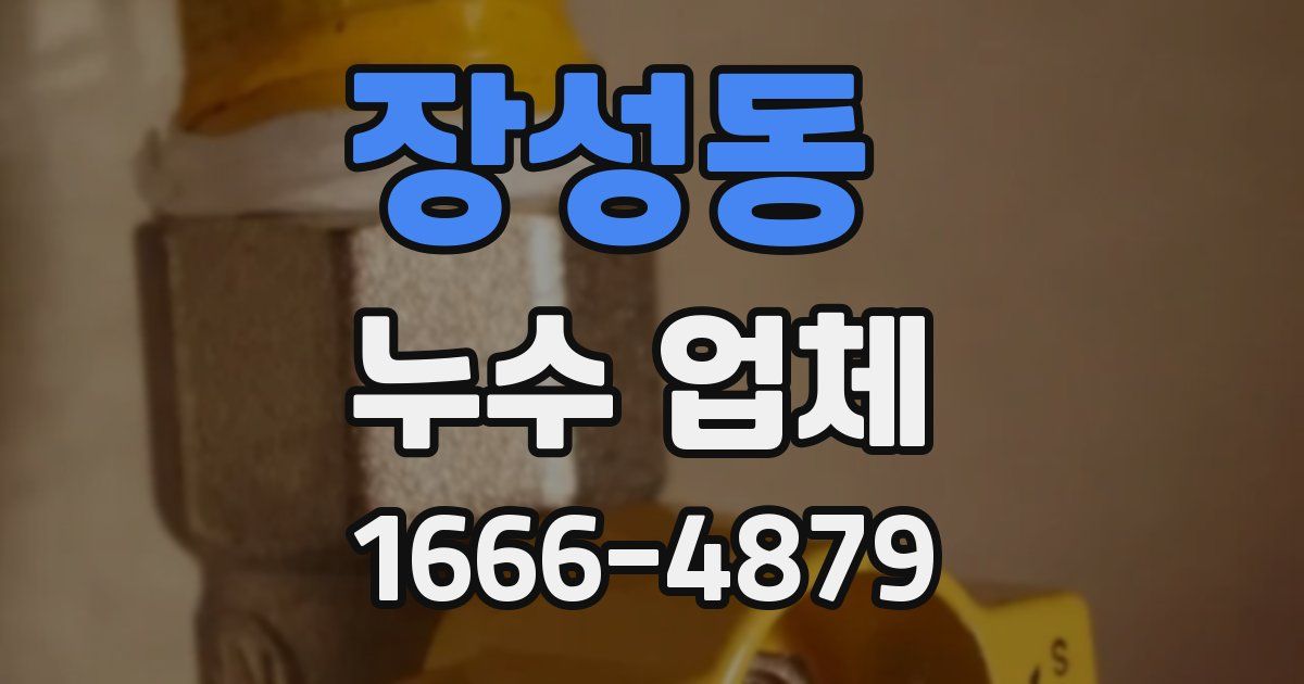 장성동 누수 업체