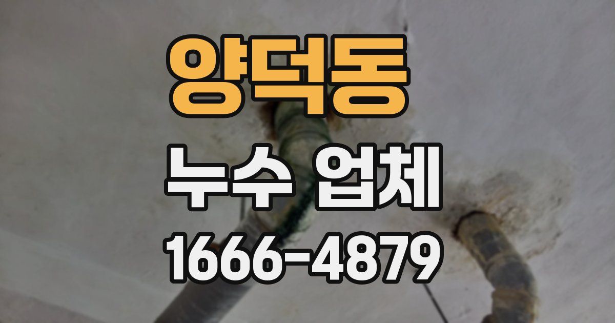 양덕동 누수 업체