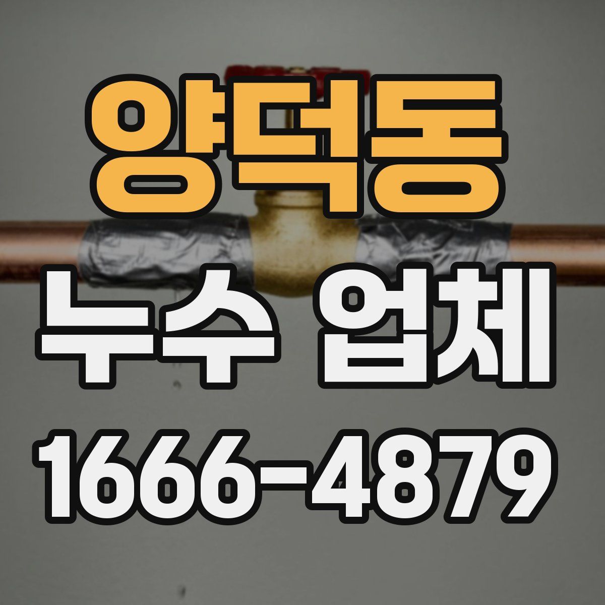 양덕동 누수 업체