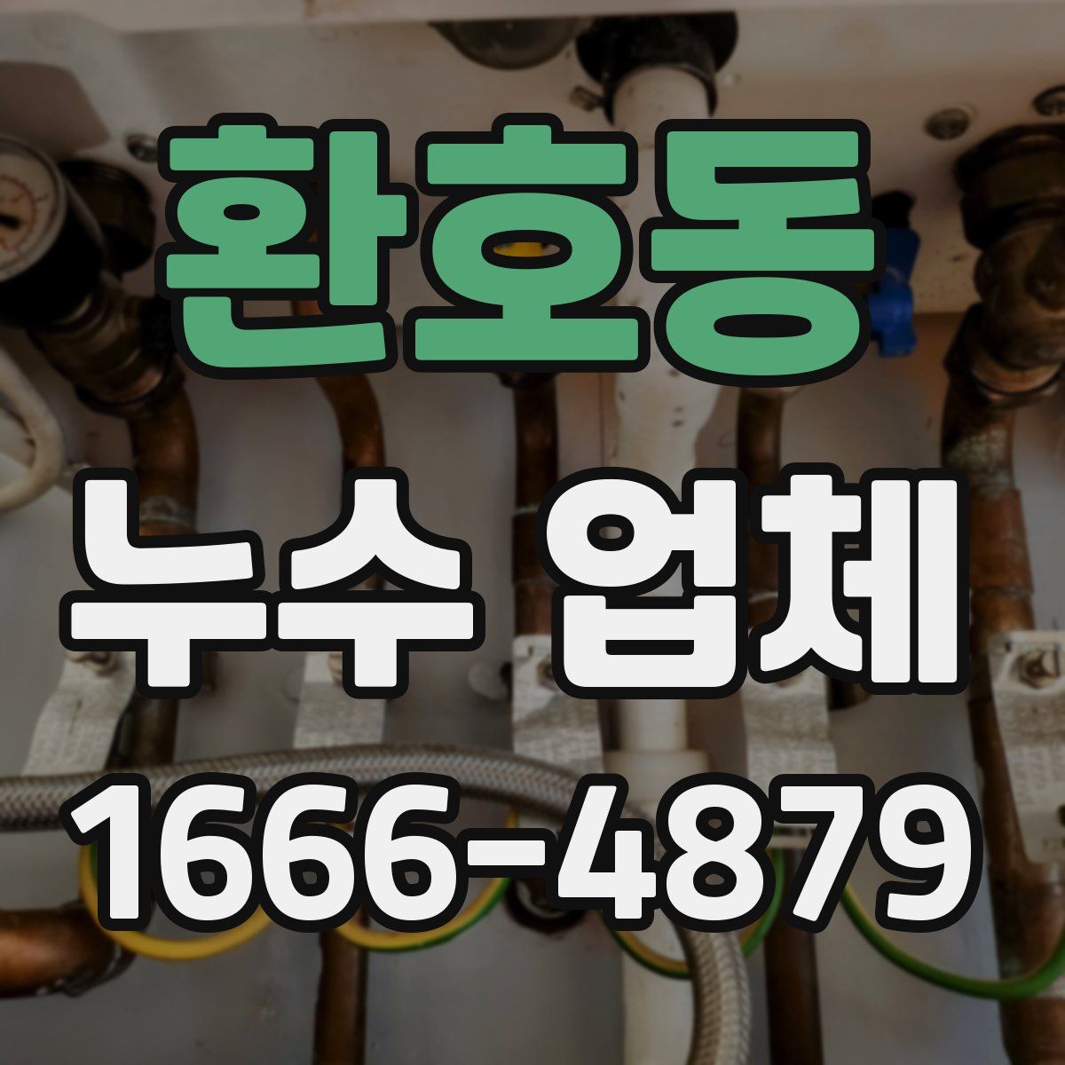 환호동 누수 업체