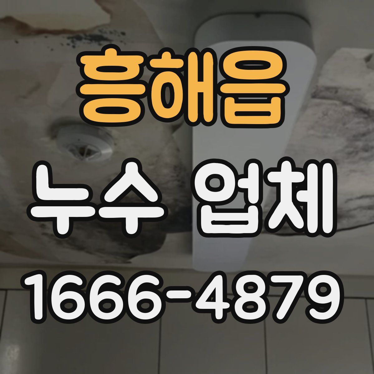 흥해읍 누수 업체