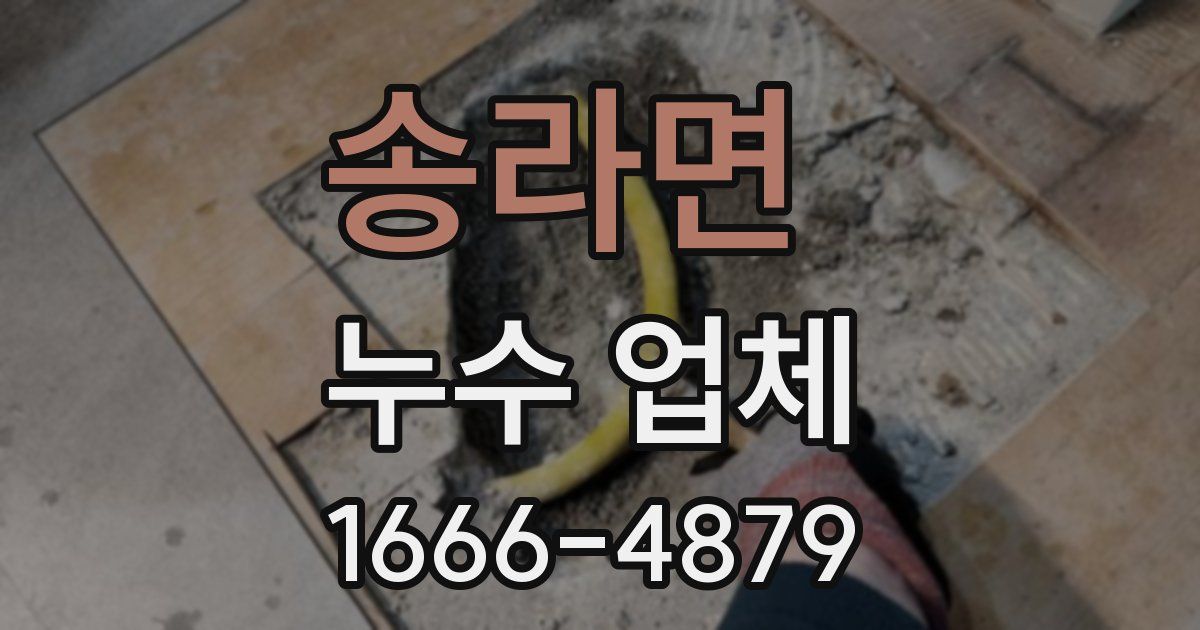 송라면 누수 업체