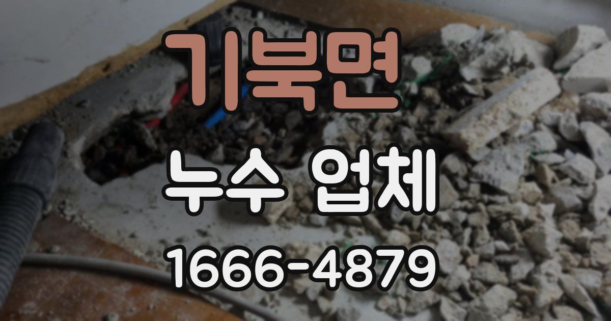 기북면 누수 업체