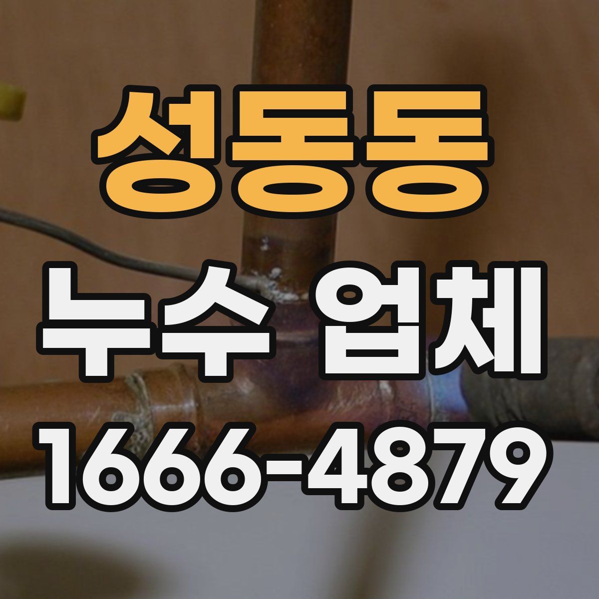 성동동 누수 업체