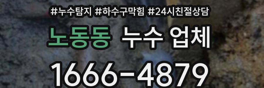 노동동 누수 업체
