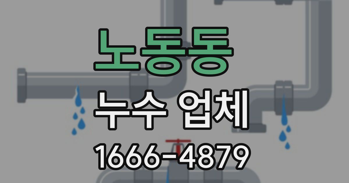 노동동 누수 업체