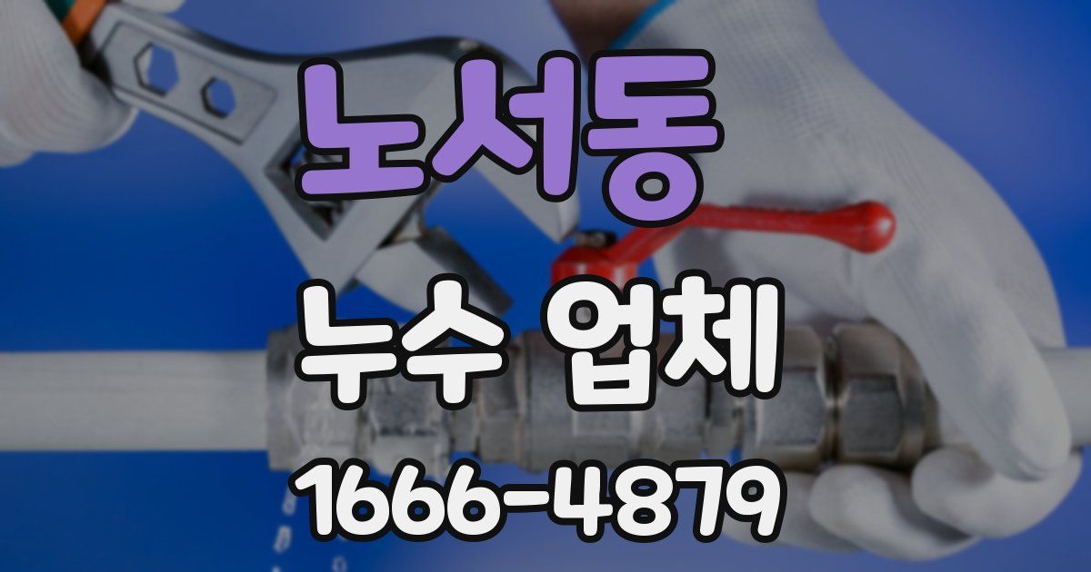 노서동 누수 업체