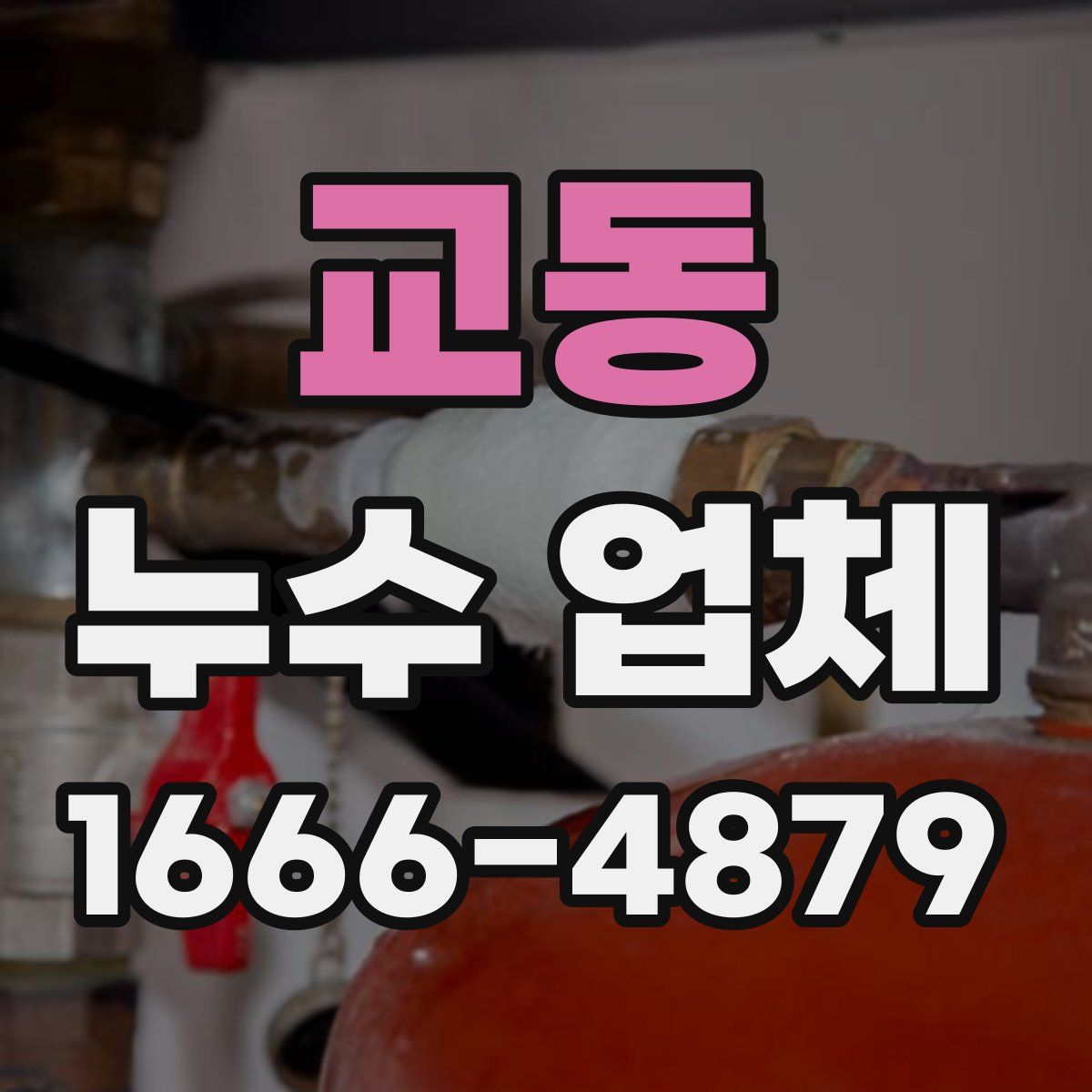 교동 누수 업체