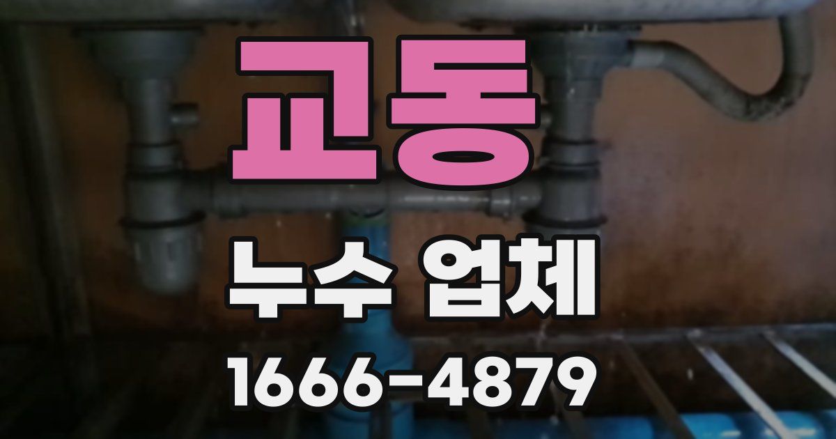 교동 누수 업체