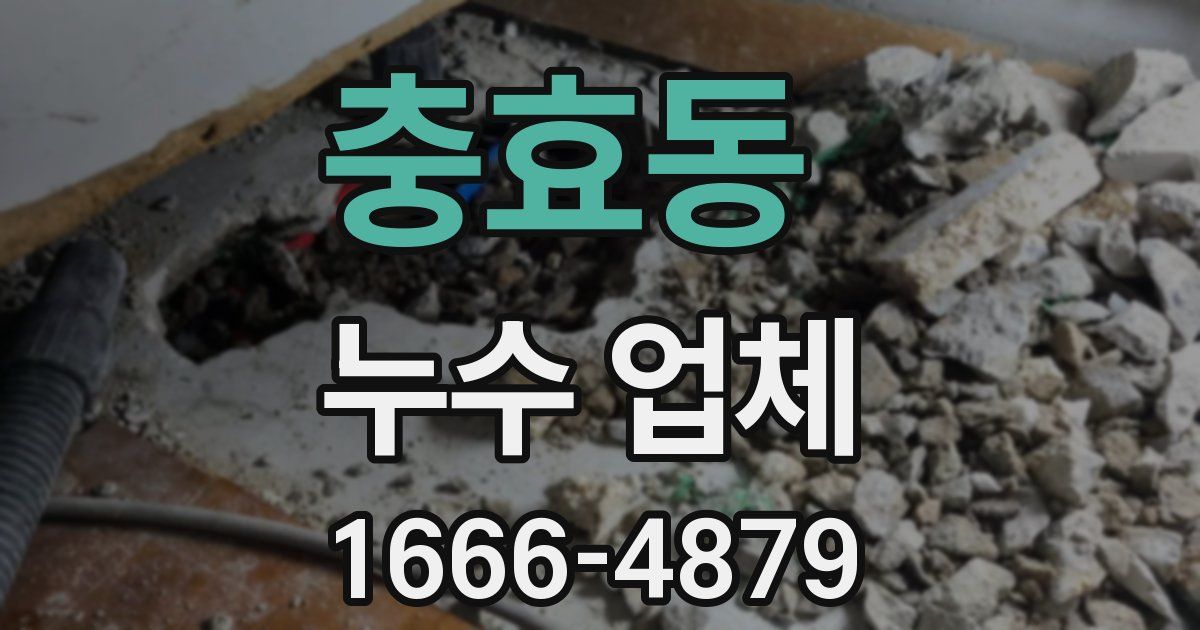 충효동 누수 업체