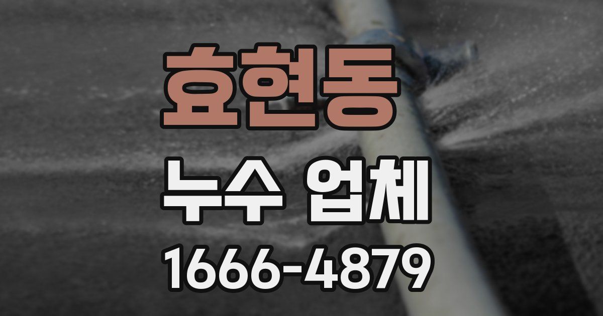 효현동 누수 업체