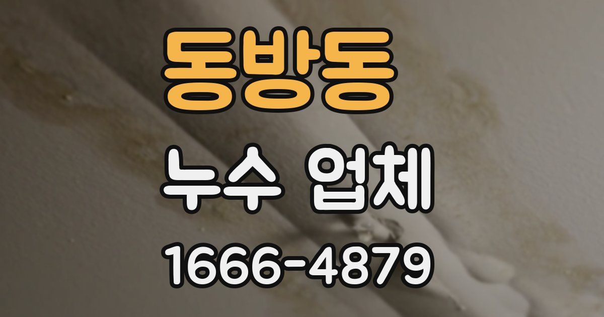 동방동 누수 업체