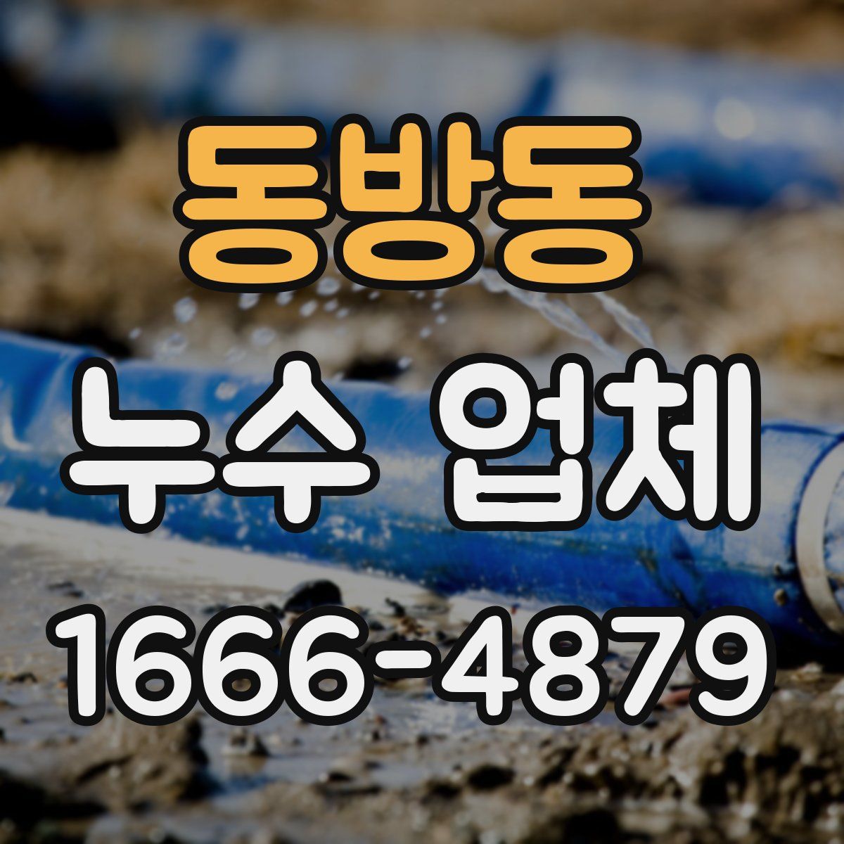 동방동 누수 업체