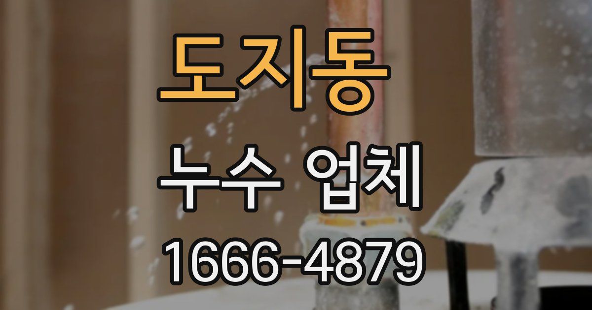 도지동 누수 업체