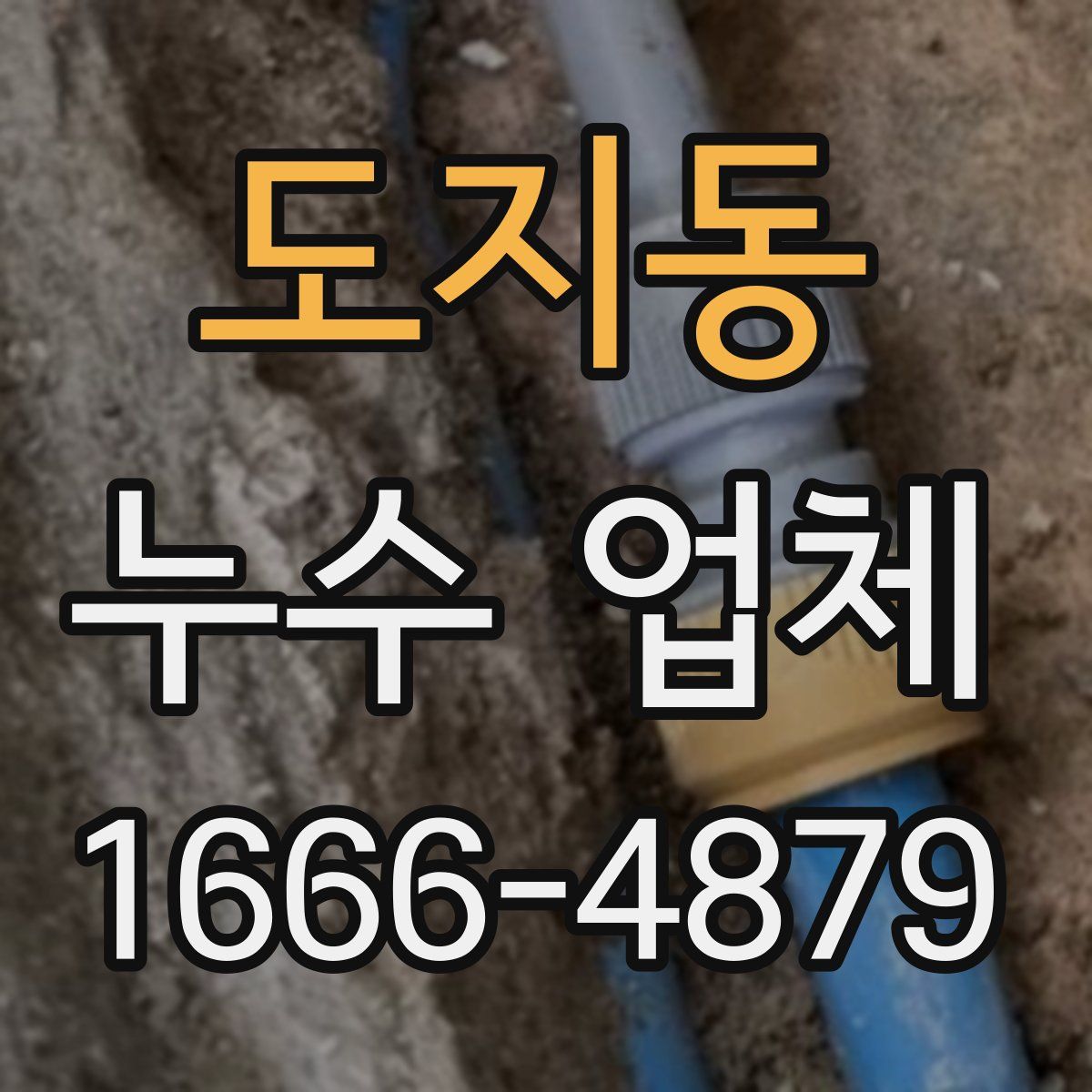 도지동 누수 업체