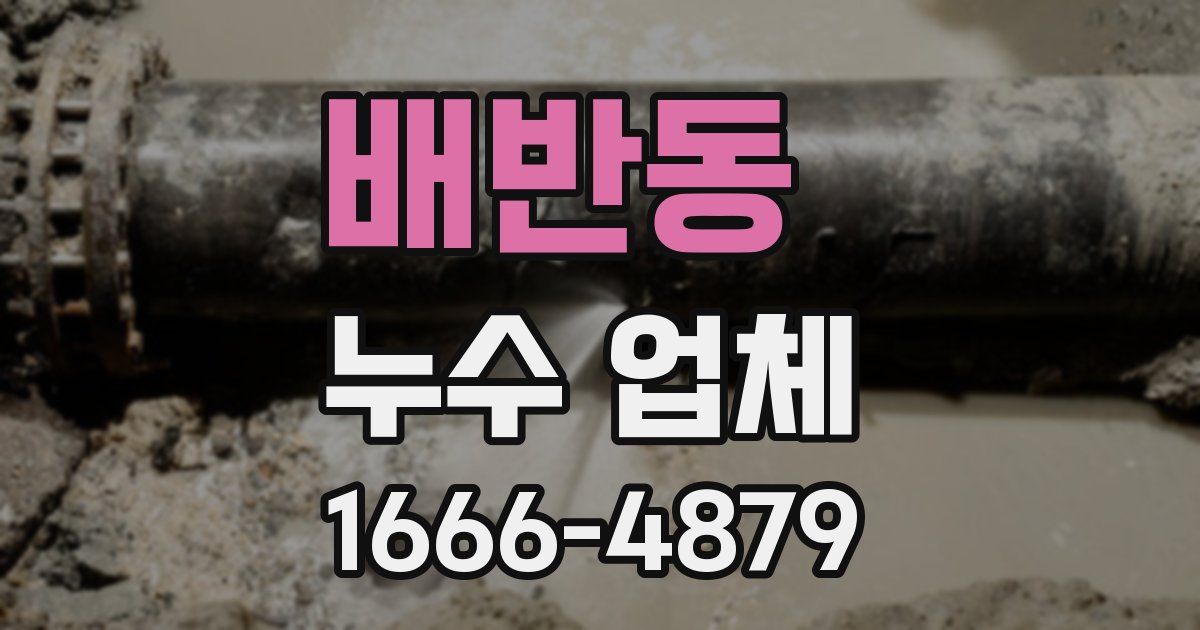 배반동 누수 업체