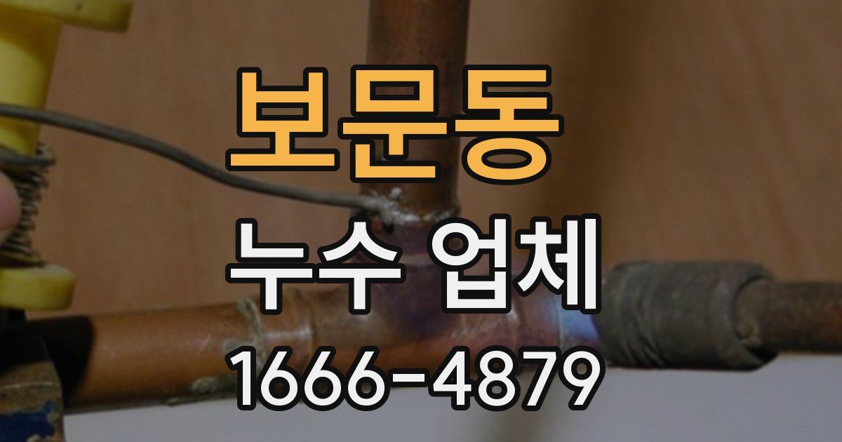 보문동 누수 업체