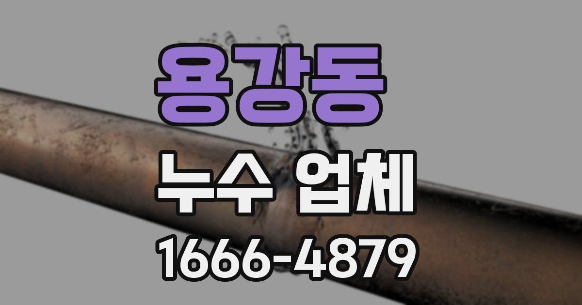 용강동 누수 업체