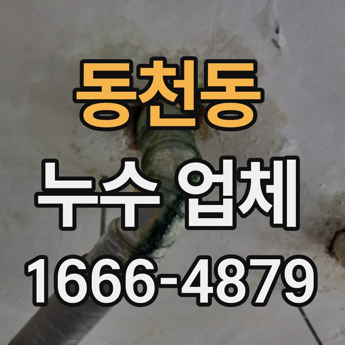 동천동 누수 업체