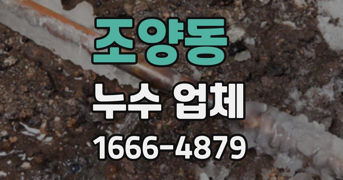 조양동 누수 업체